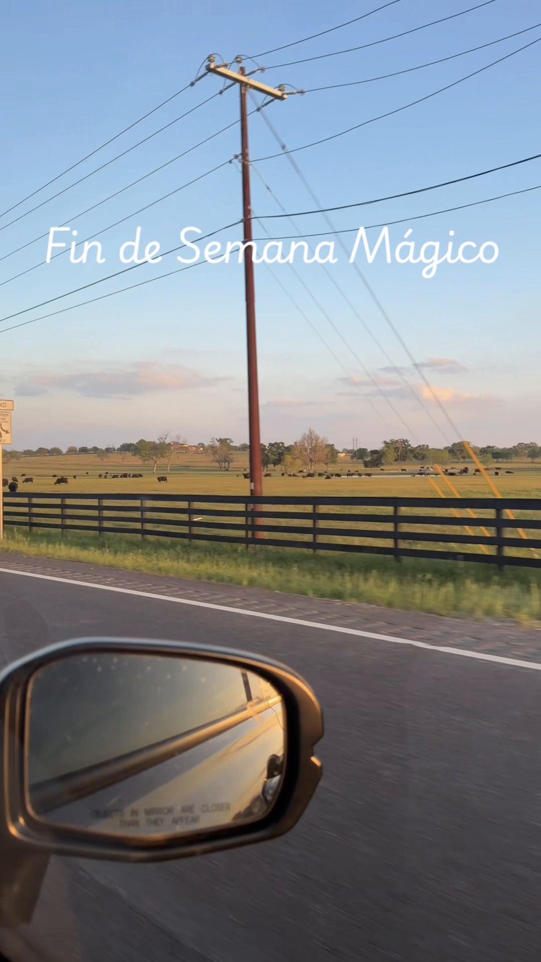 @Jesús Fernando