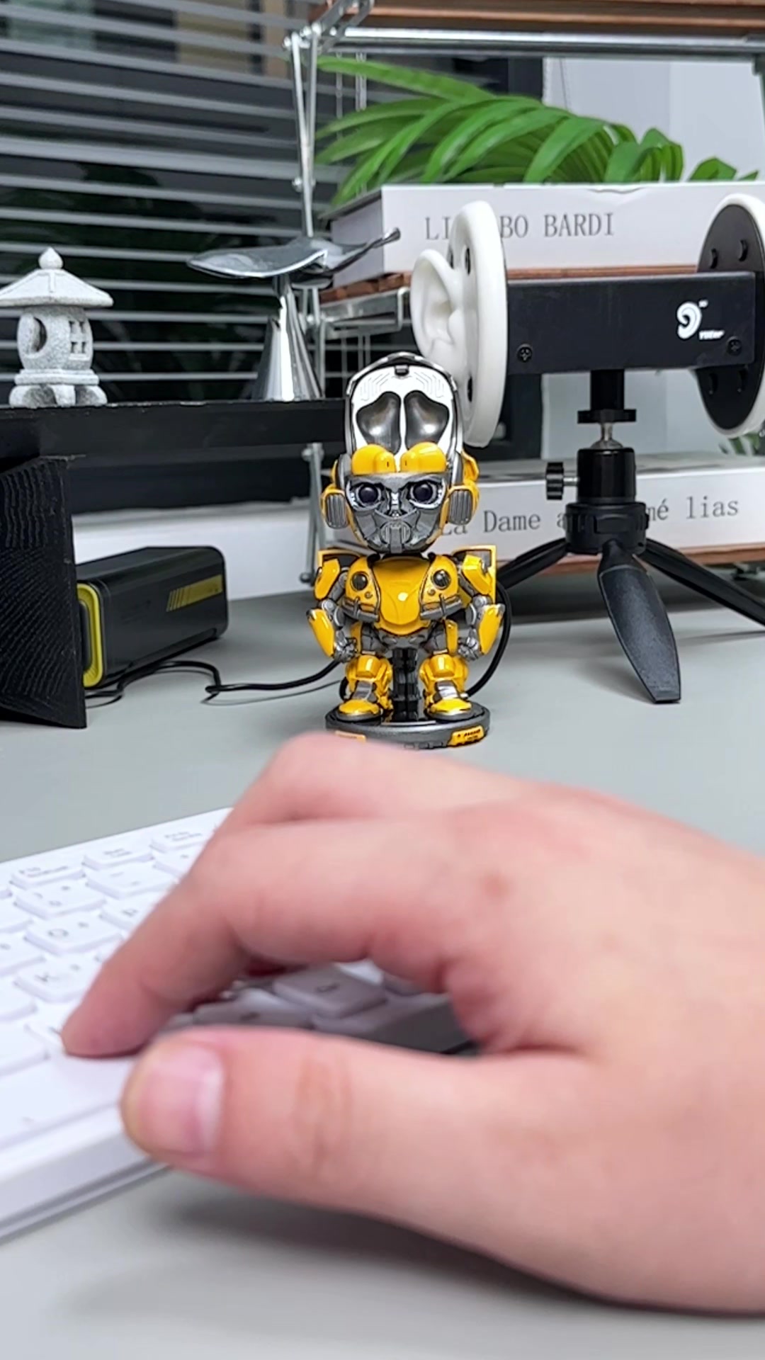 @Nikola Toy
