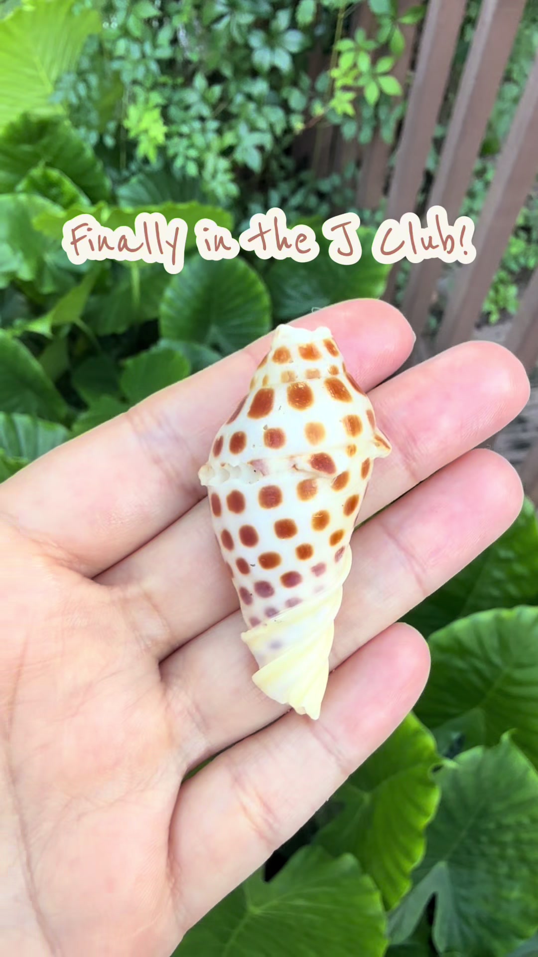@Ashley Splashley🧜🏼♀️🌺🐚