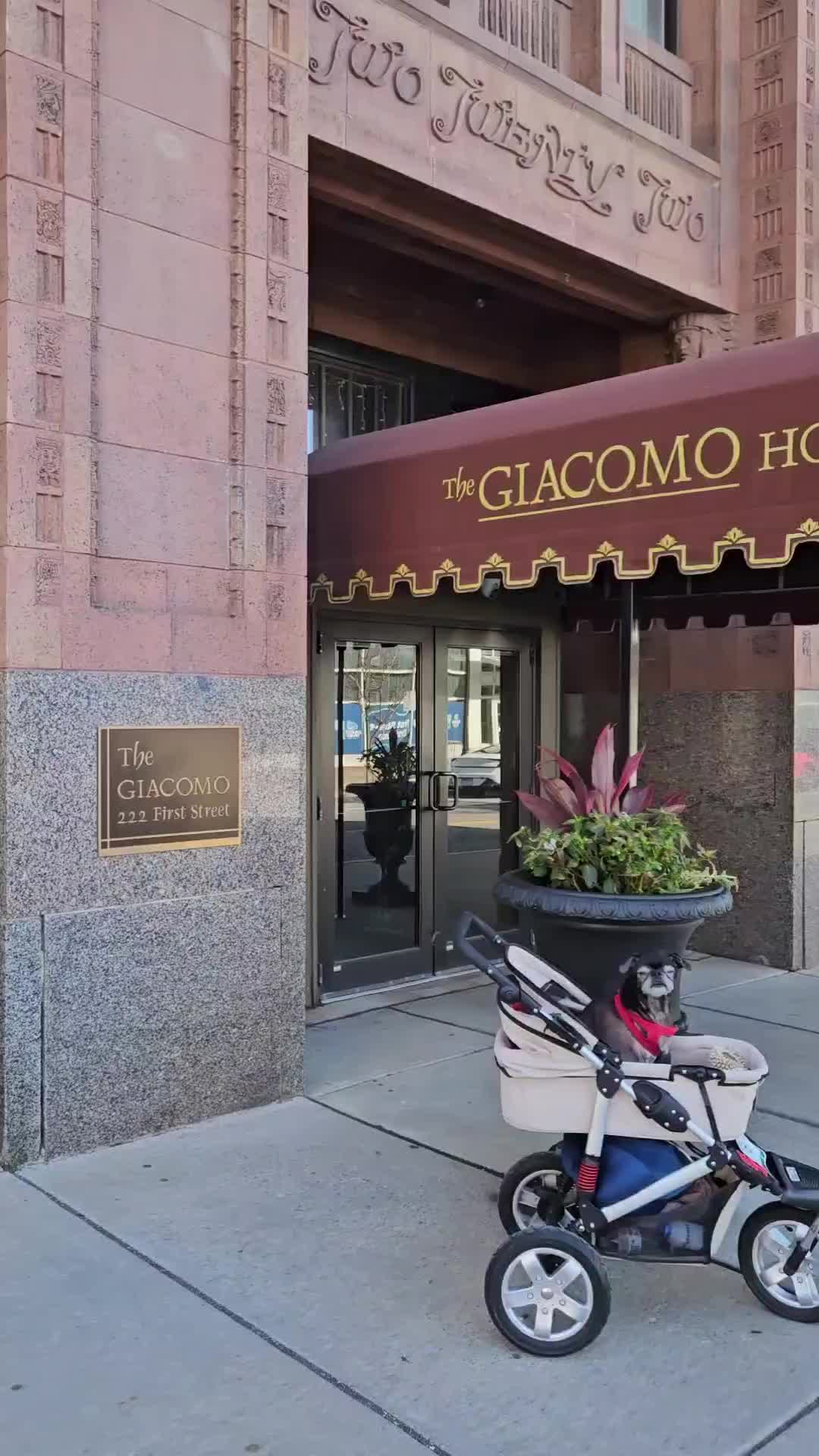 @Mister Pemberton