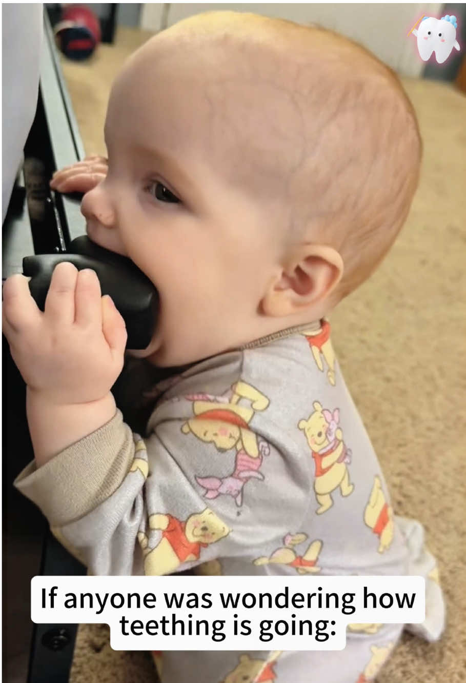 @funny.pets.babyone