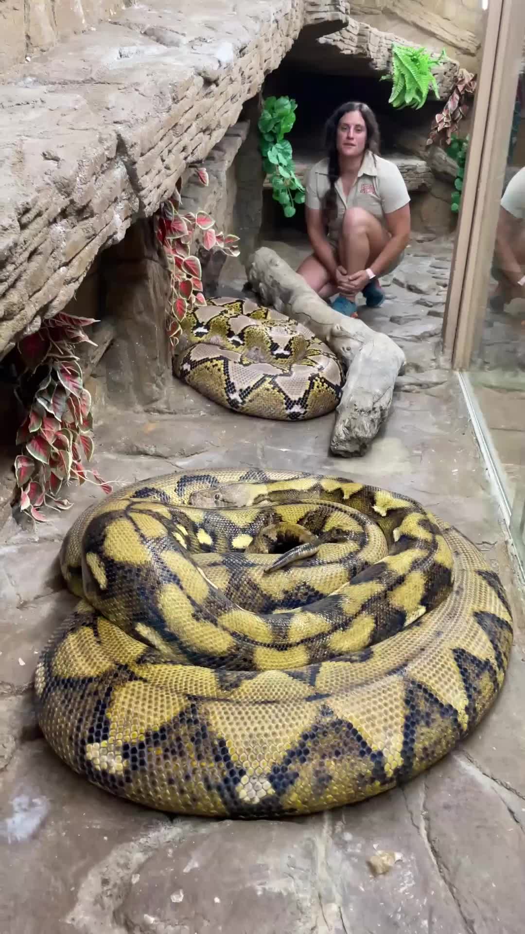 @The Reptile Zoo
