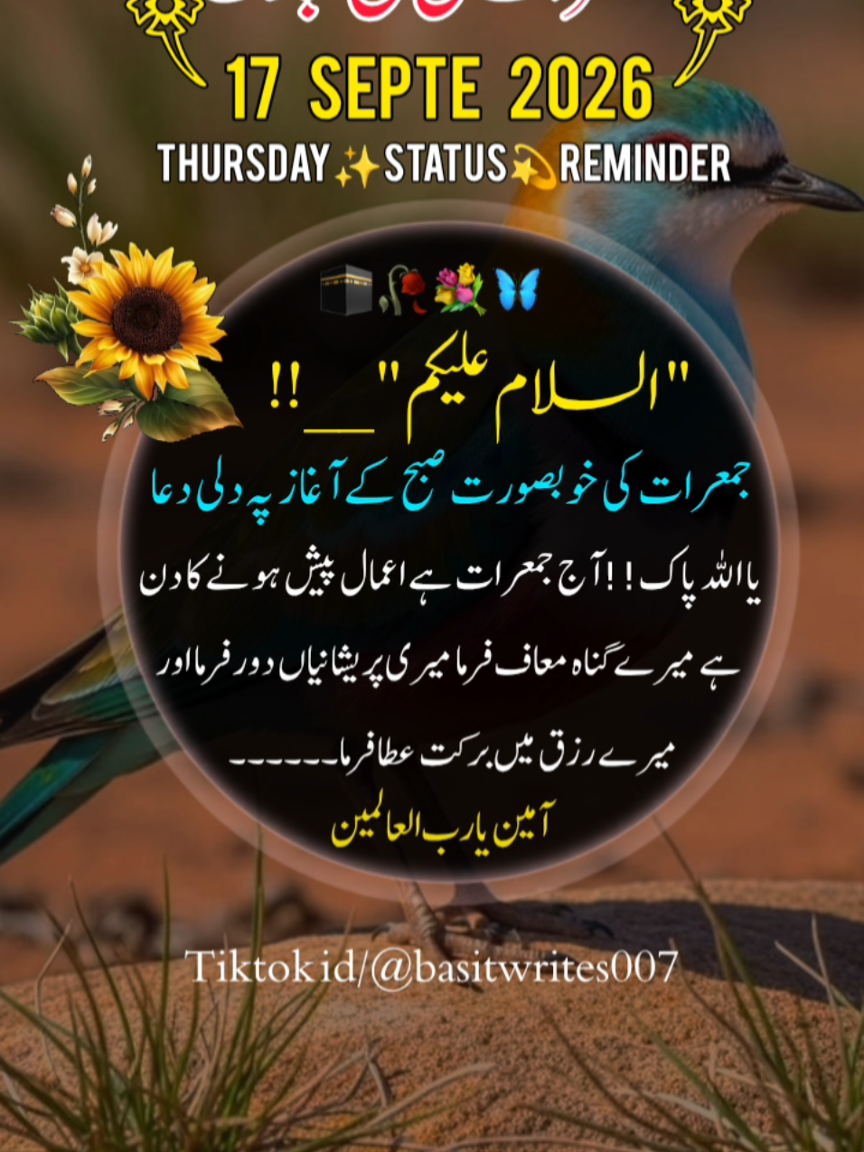 @basitwrites007