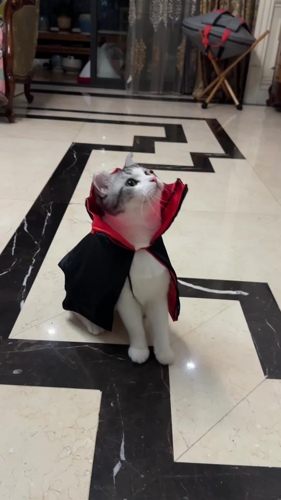 @SpookyBox