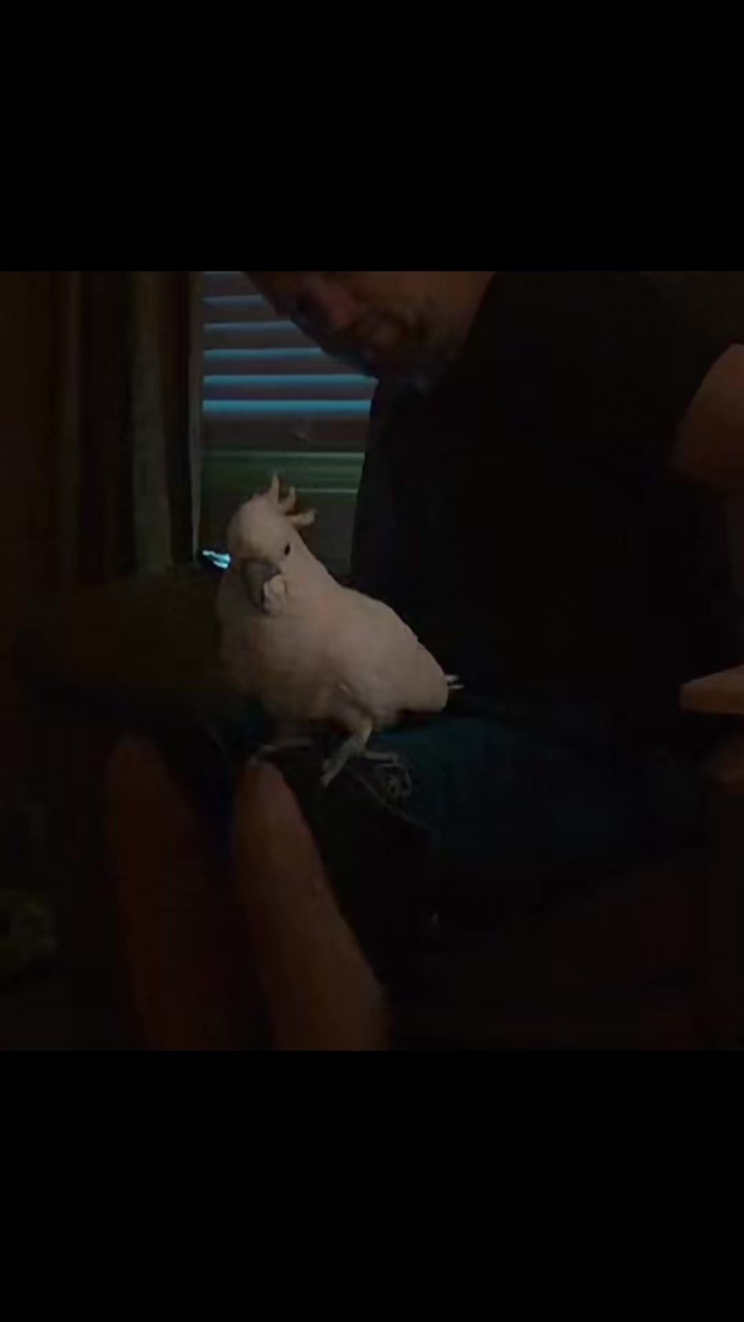 @xMrsBeardyx