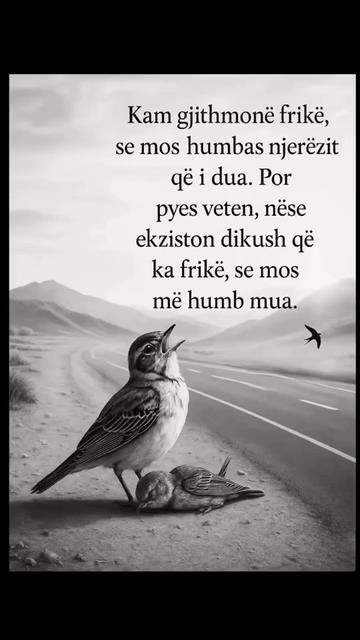 @⛔️Tolja⛔️♥️🔐Niti⛔️