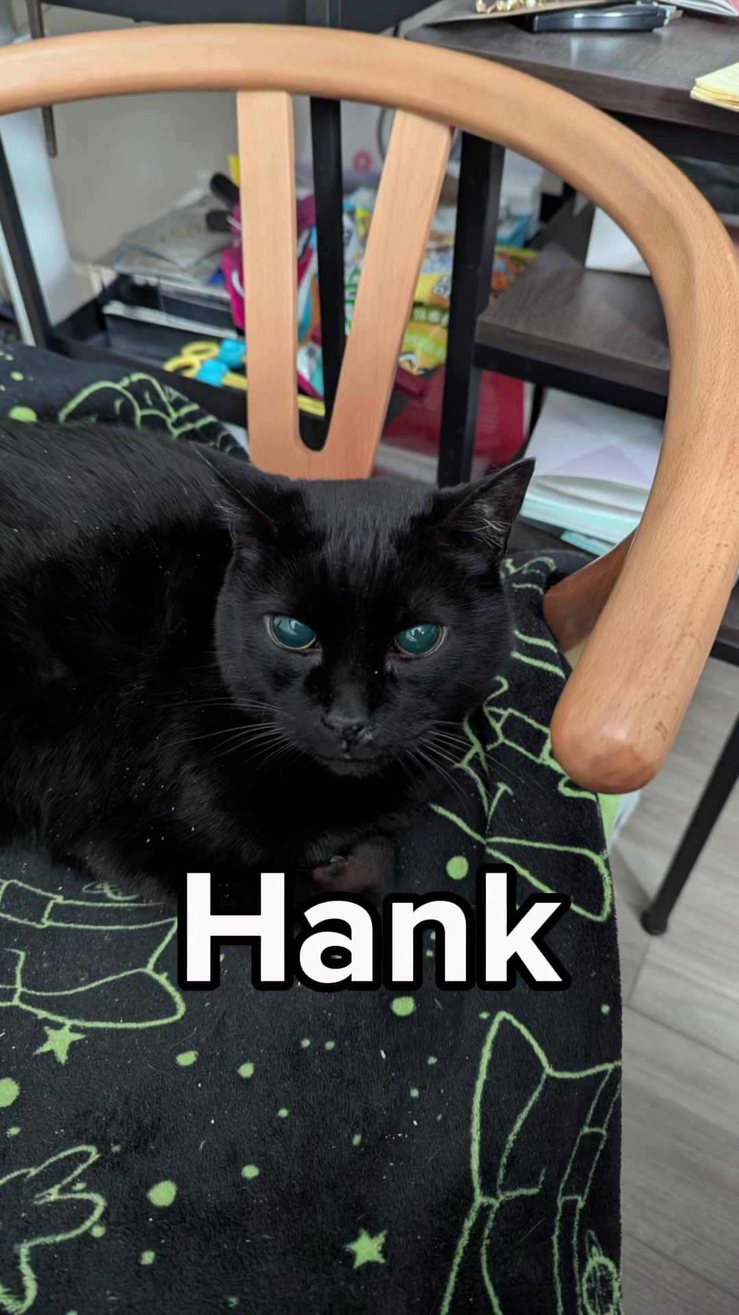 @Seattle Humane