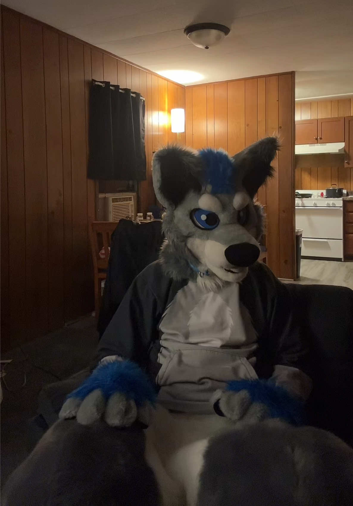 @BlueSilver_Wolf