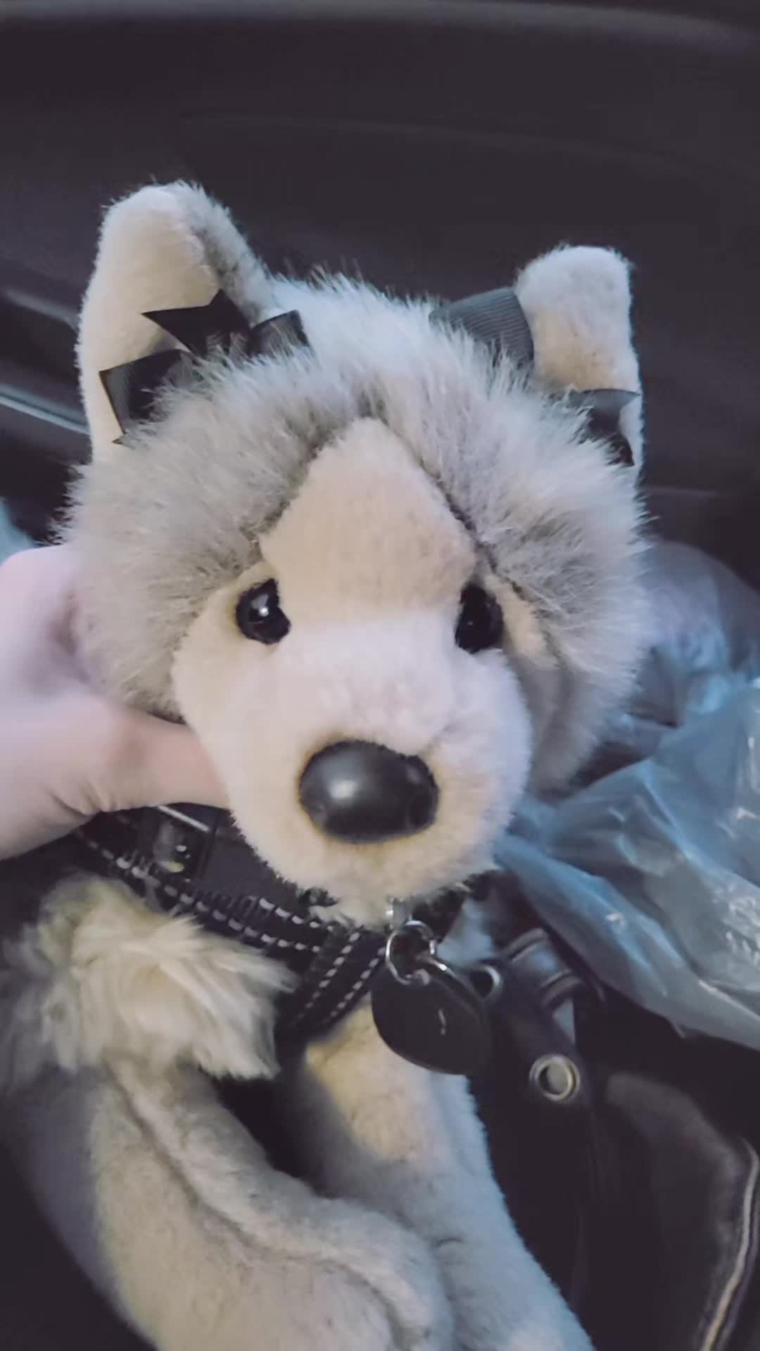 @♡Vix♡