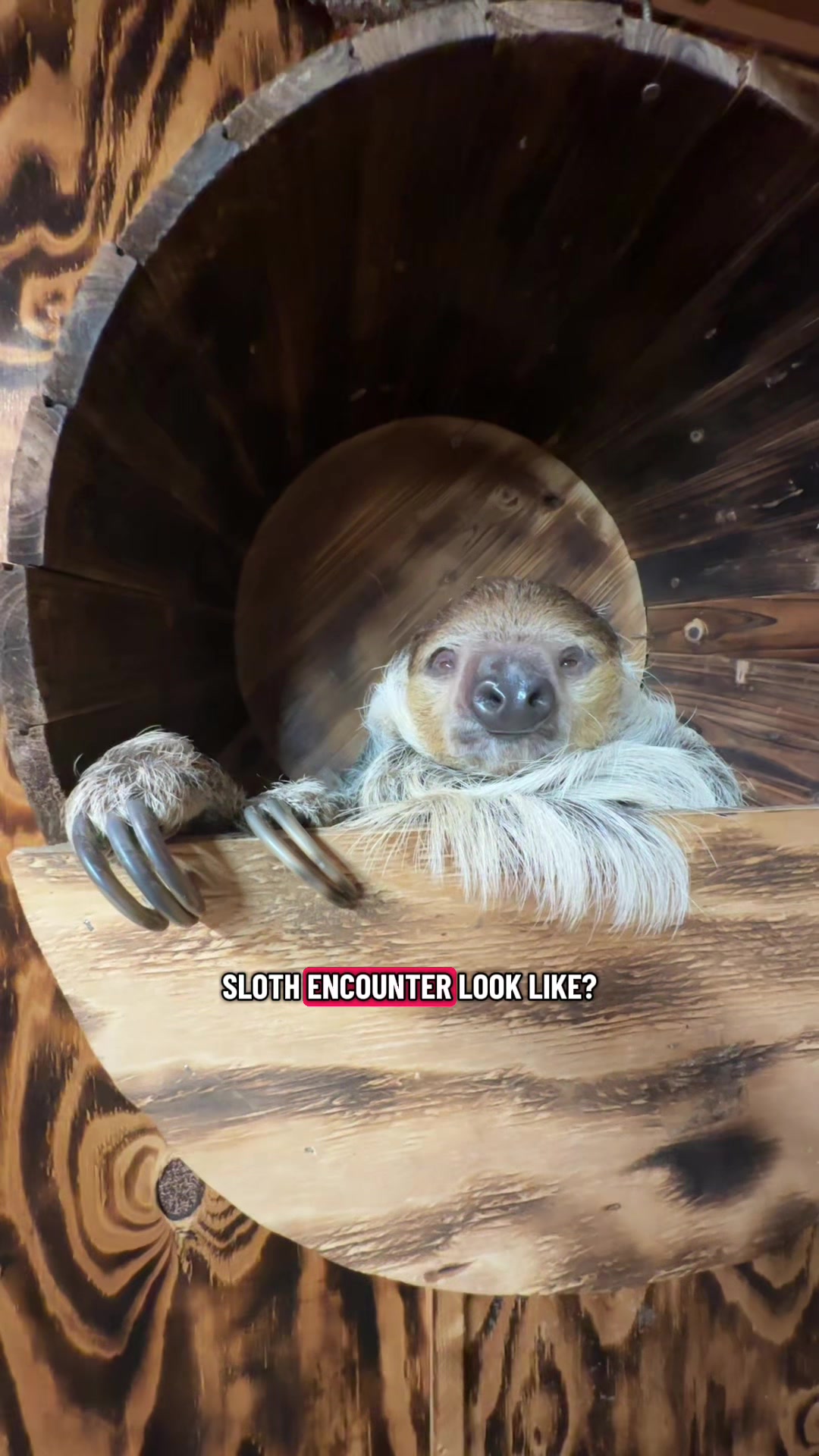 @Texas Wildlife Park