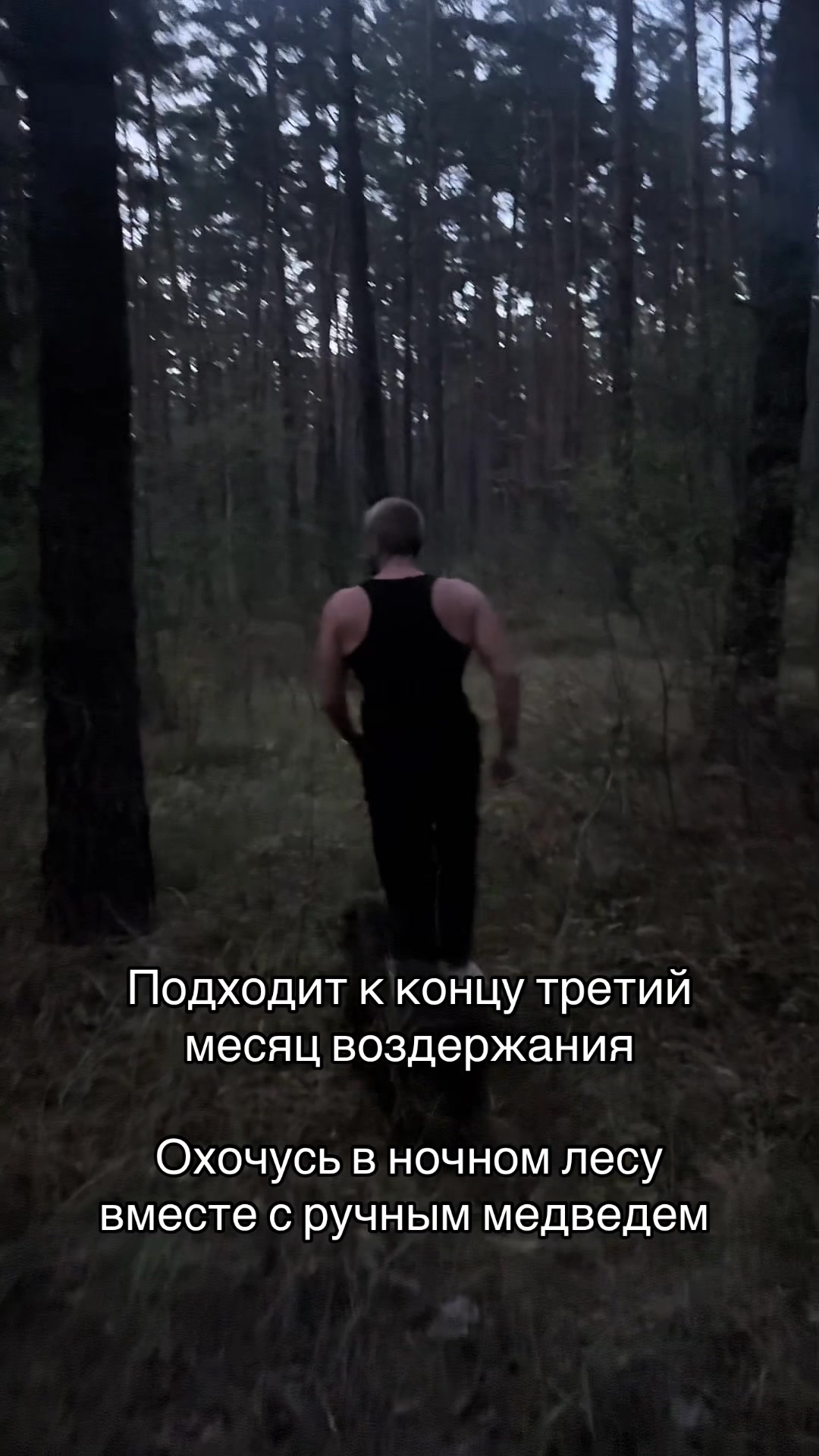 @тгк: Сильвестр Андреевич?