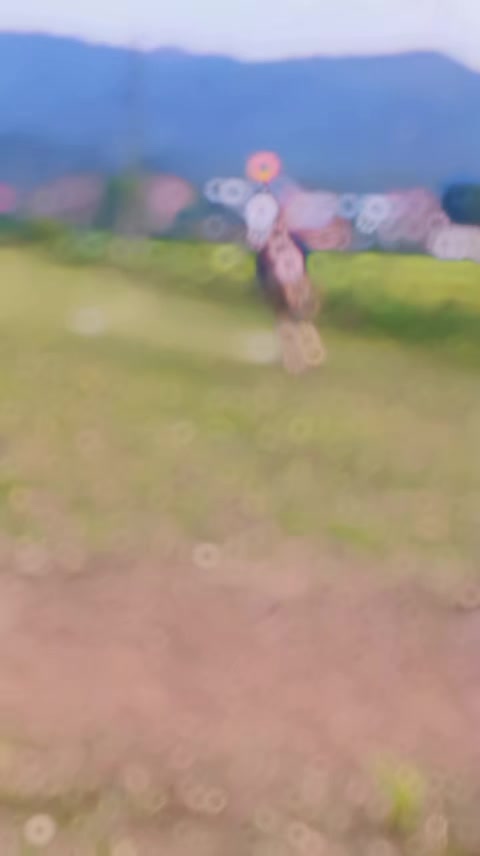 @Raja Ammar Khan(CHIB)