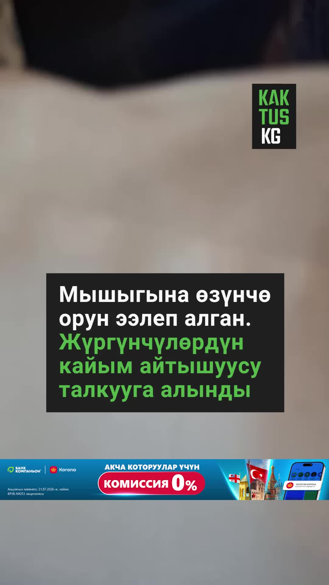 @Kaktus KG
