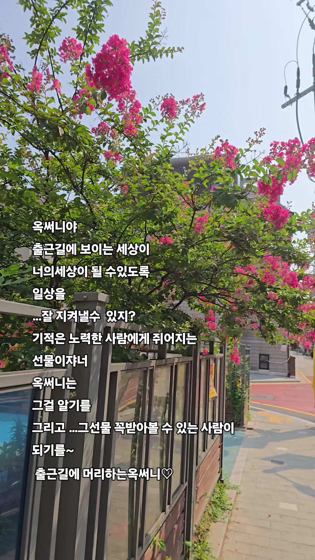 @머리하는옥써니