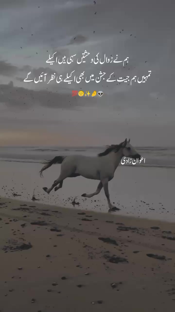 @🇦 🇼 🇦 🇳 🇿 🇦 🇩 🇮 ❤️✨