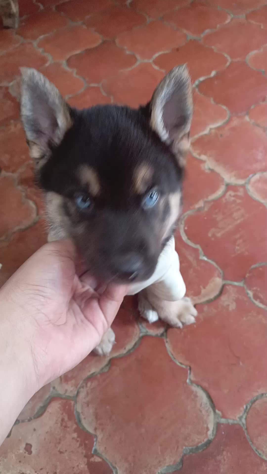 @Xavii Caballero
