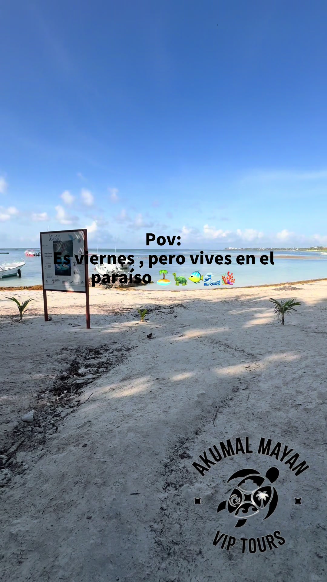 @akumal mayan vip tours