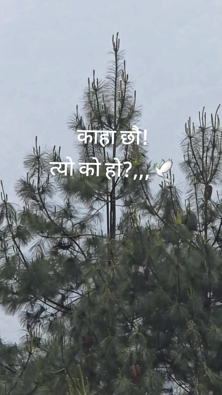 @मनि बान्तावा