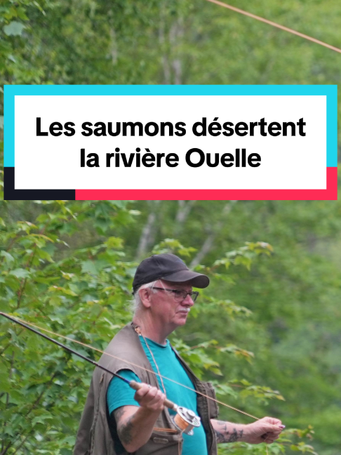 @Radio-Can au Bas-Saint-Laurent