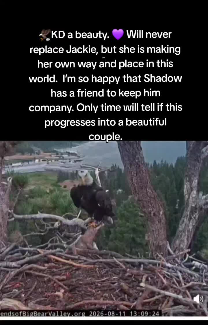 @Bri._.All
