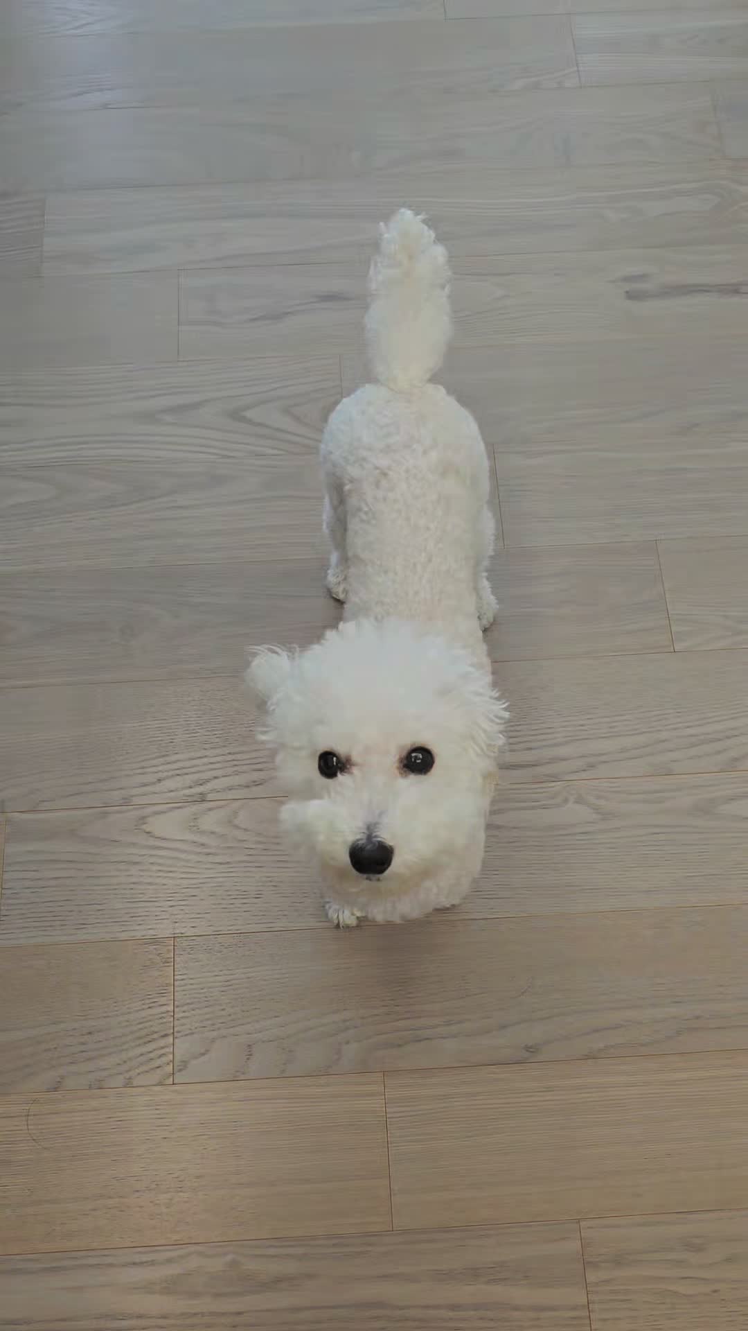 @코우