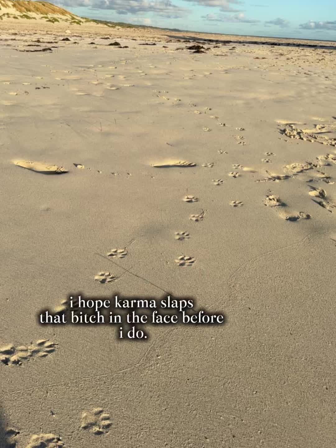 @T ❯❯❯❯