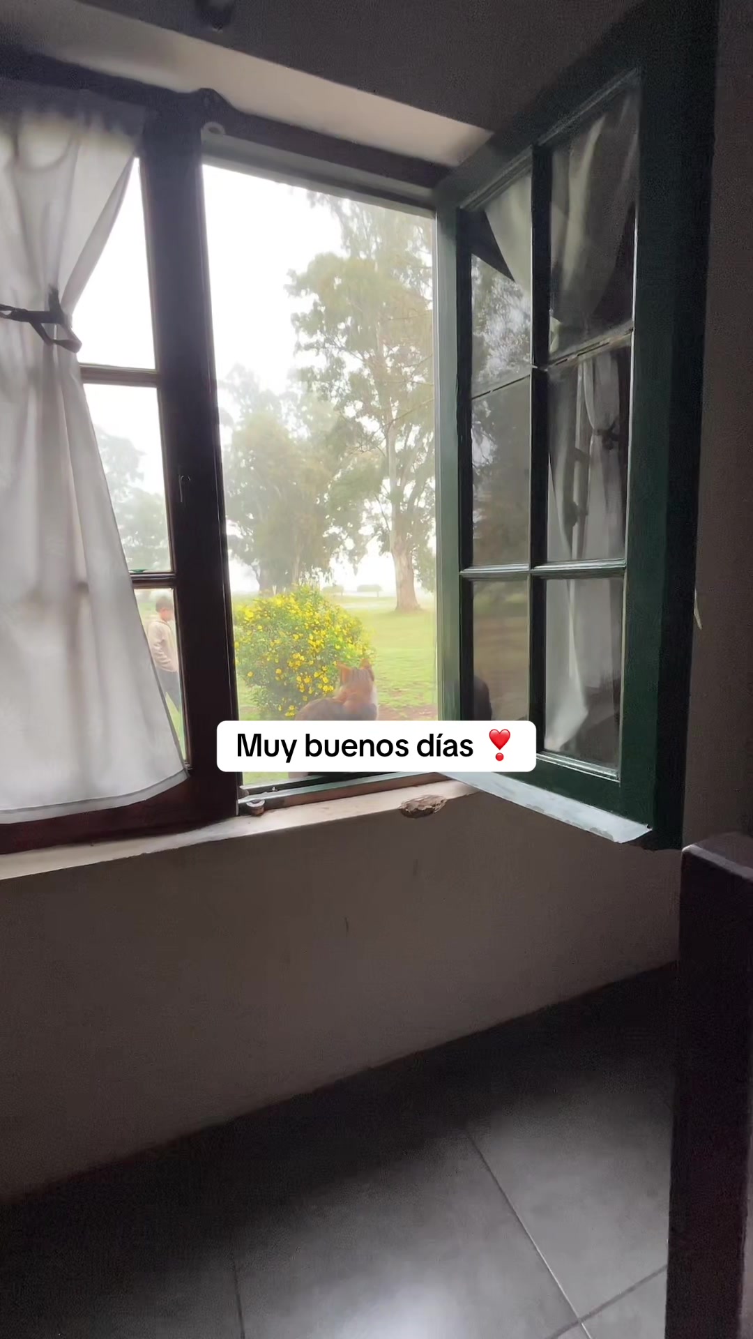 @Vicky🦋