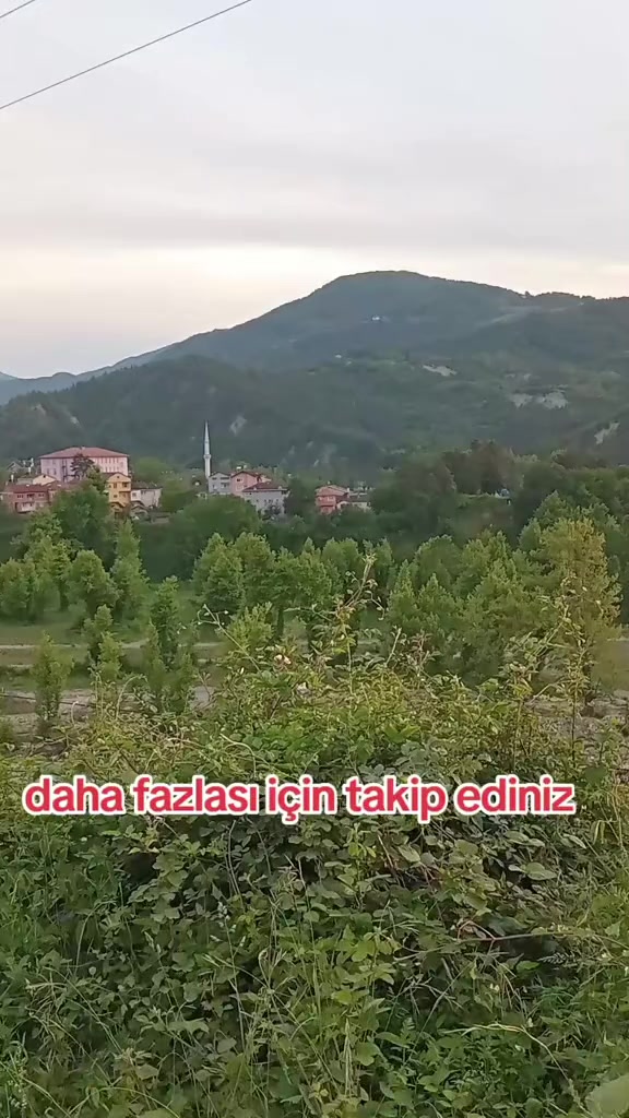 @💥👑MUSTAFA🇹🇷TAN🇹🇷KURU👑💥