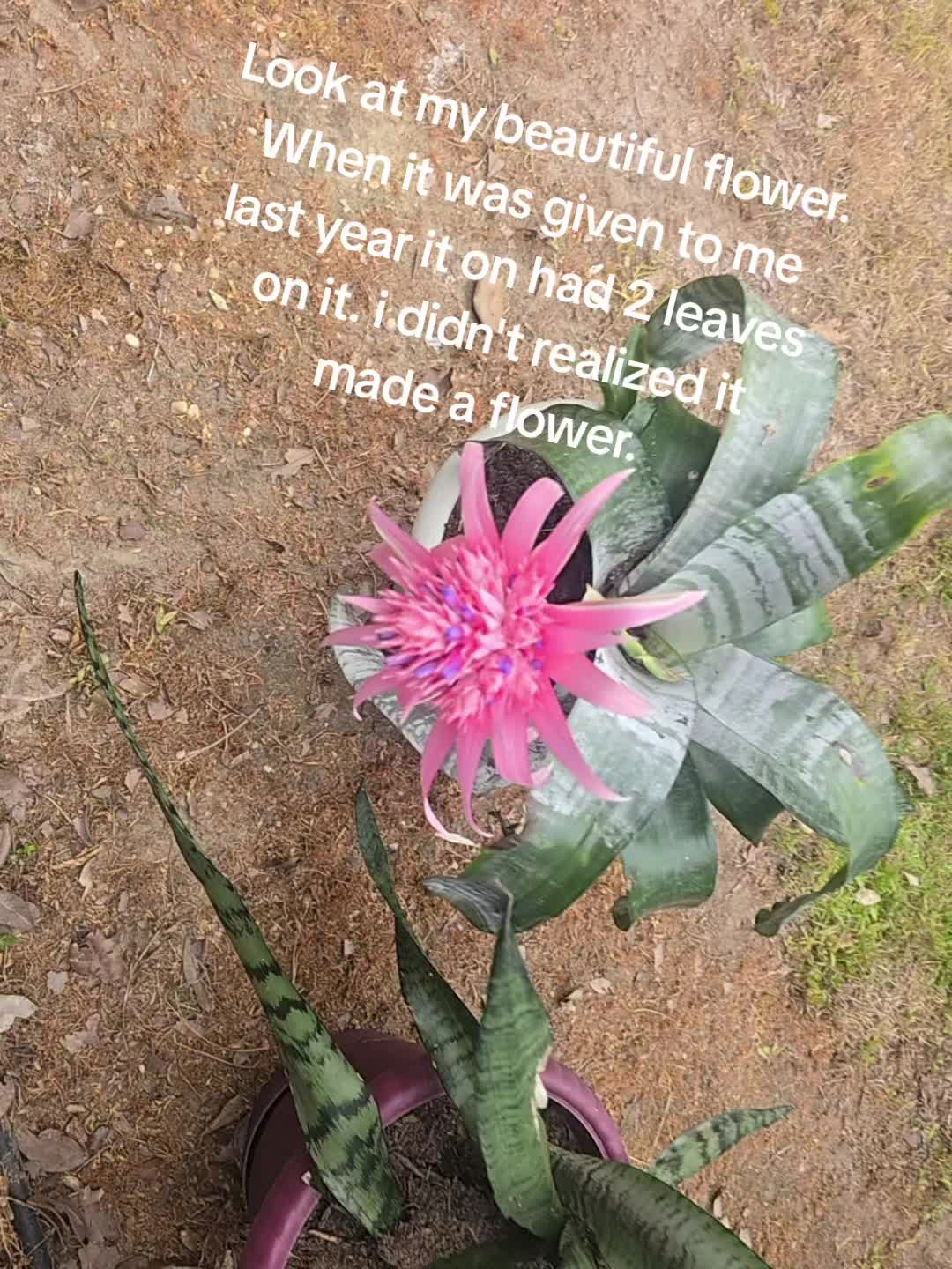 @Dee