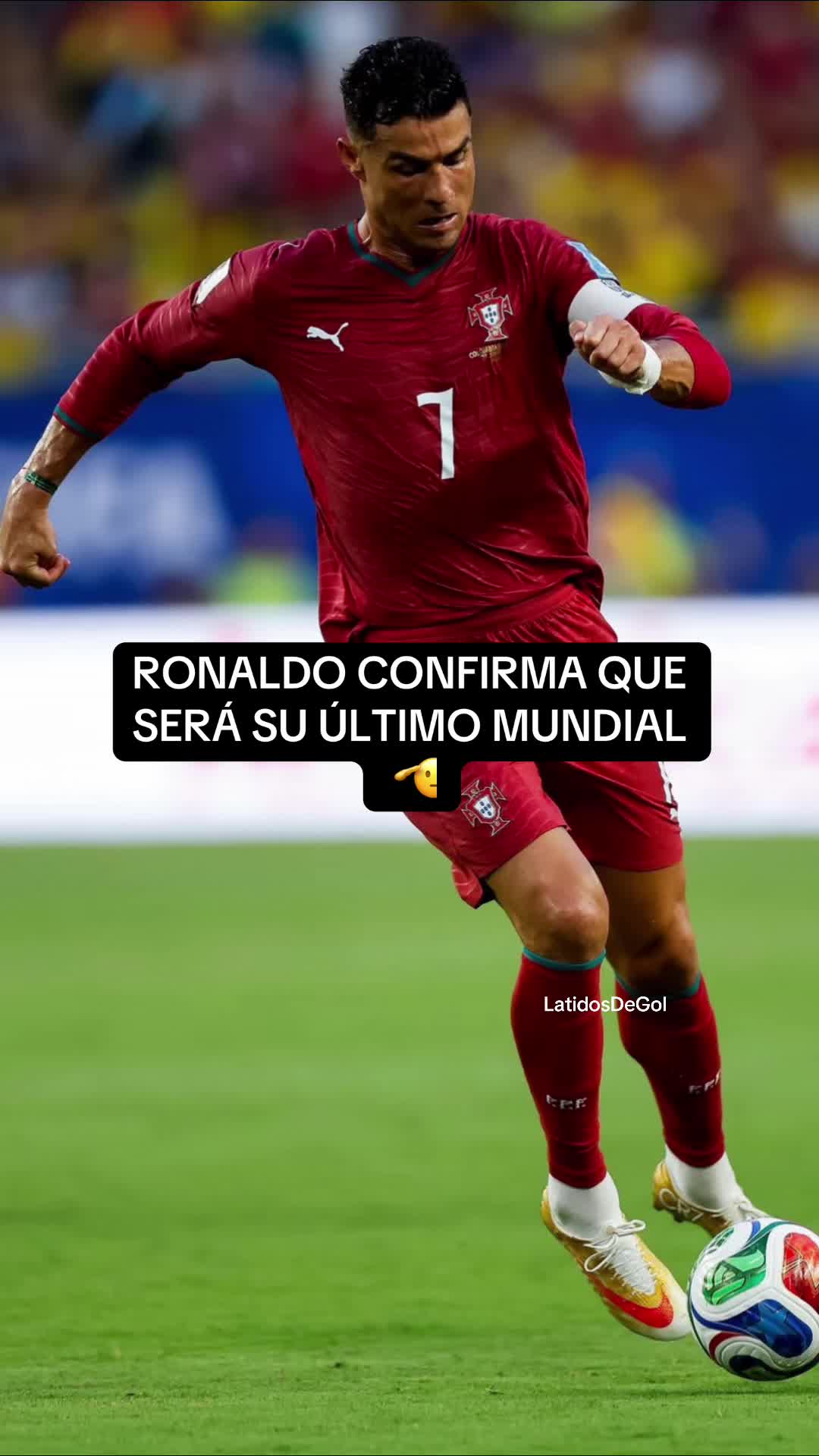 @latidosdegol