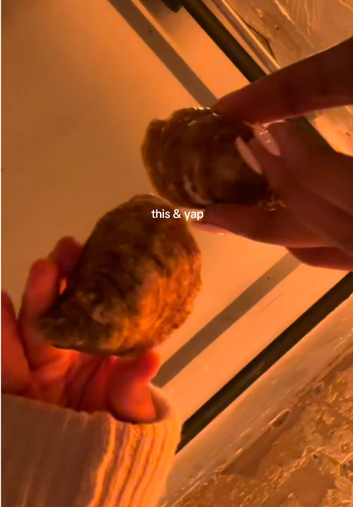 @jen