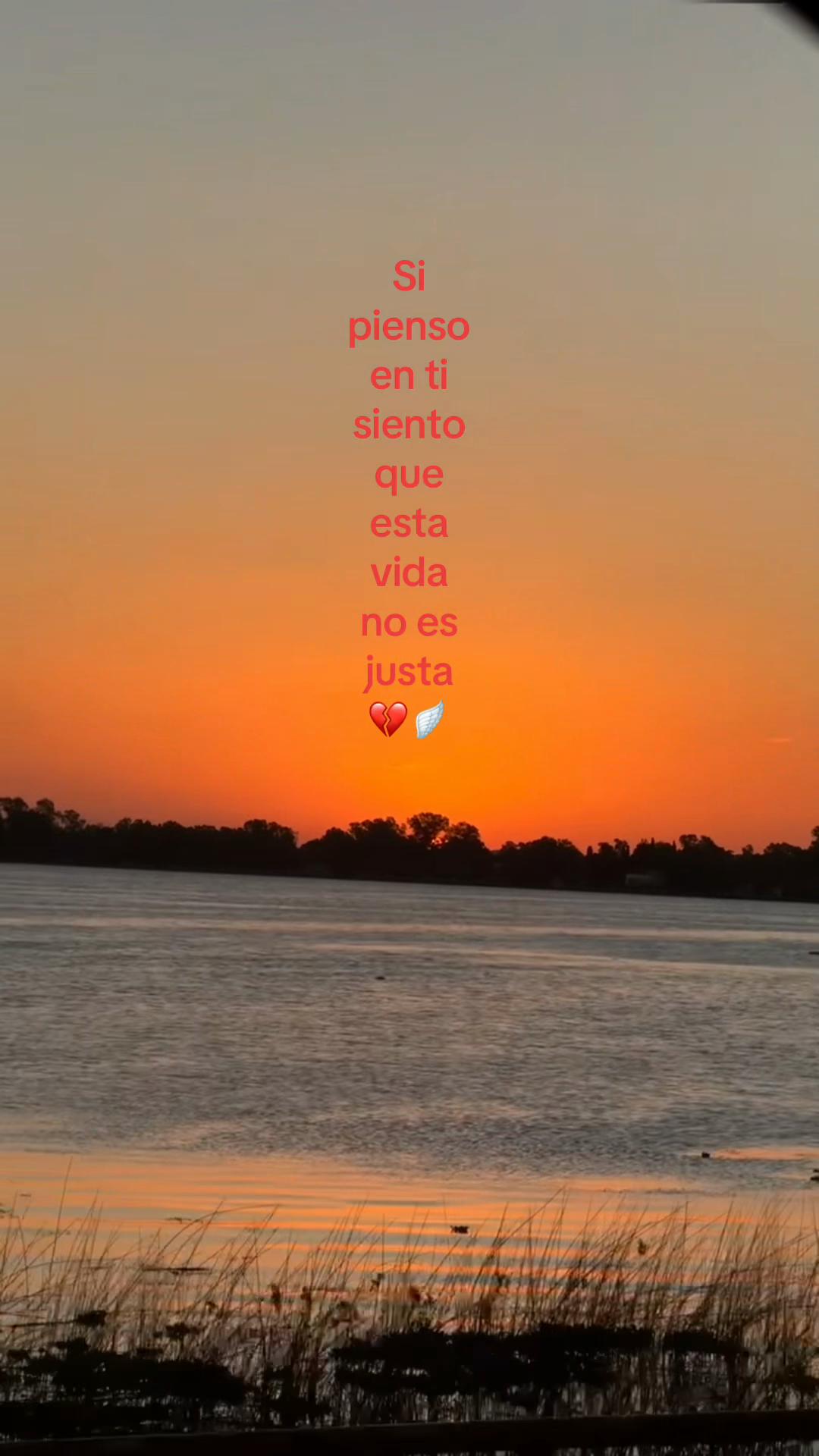 @mica🍒