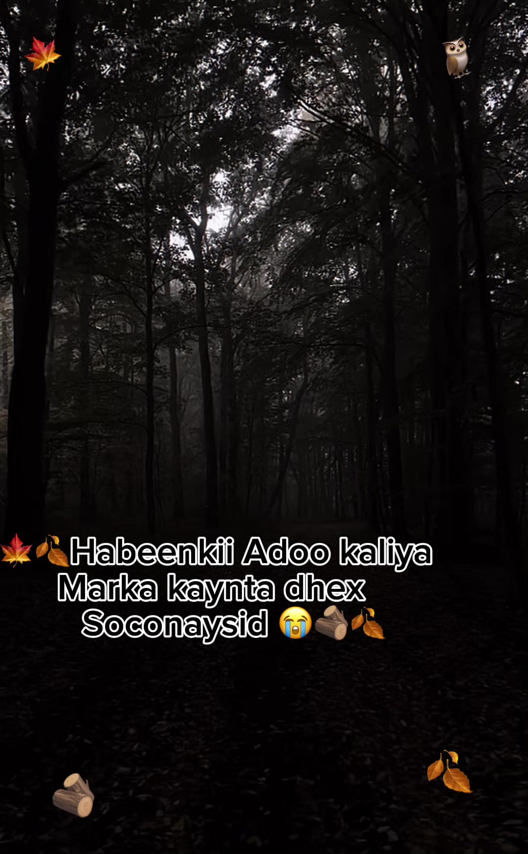 @xxzuzxu7