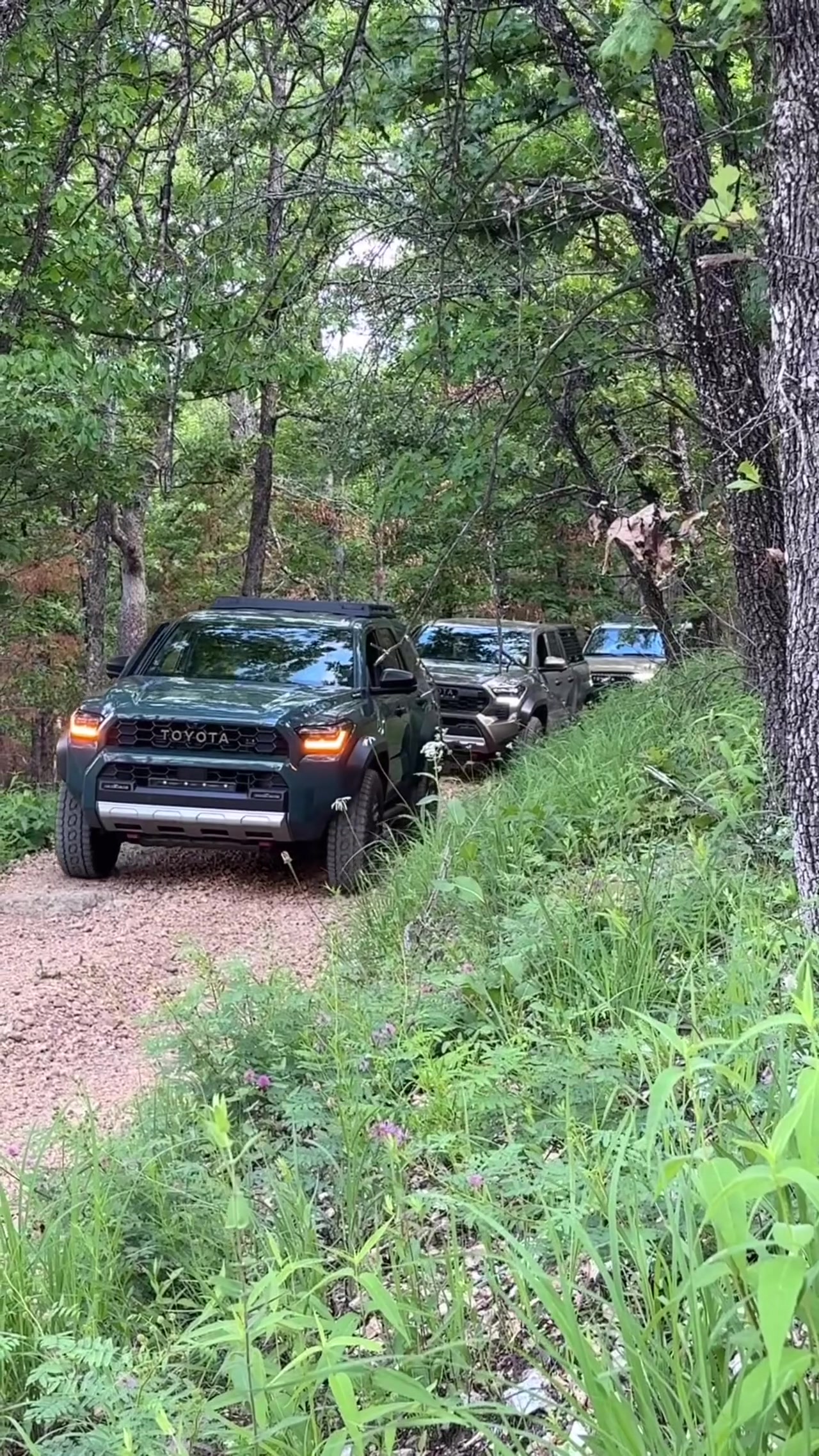 @motortrend