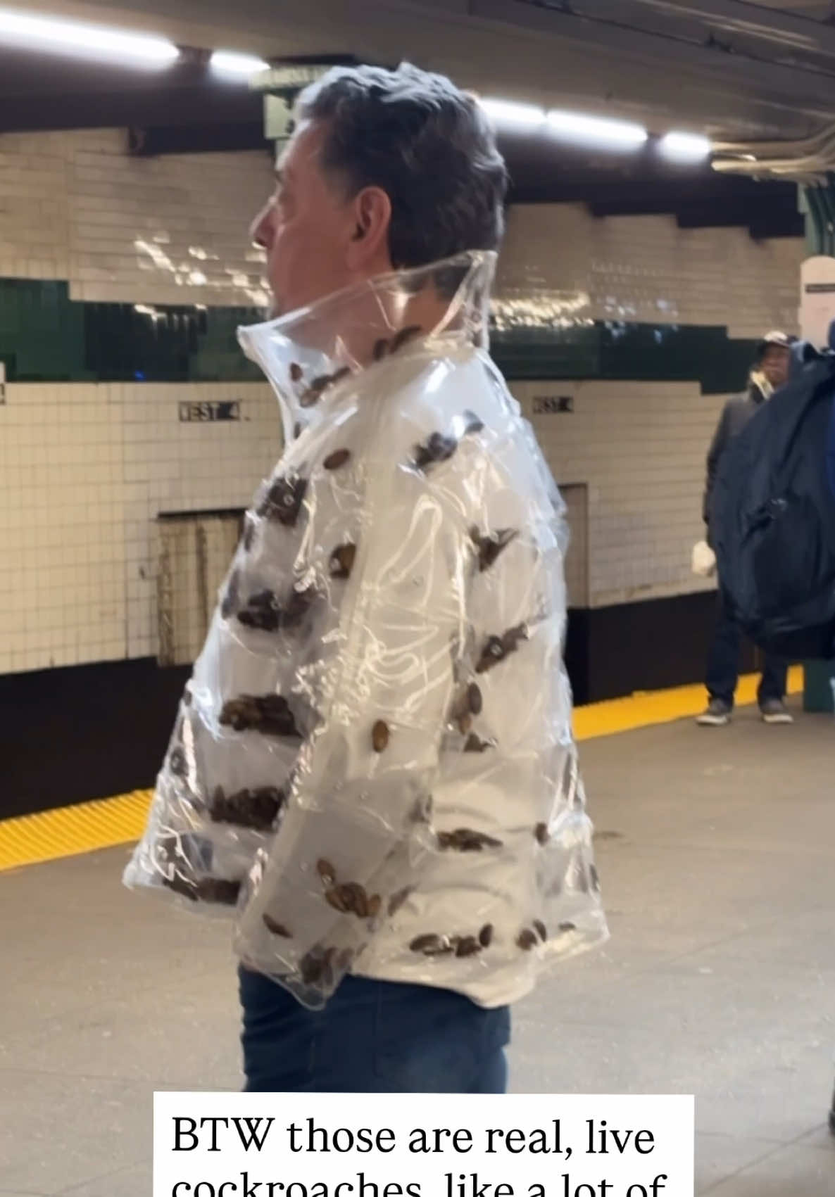 @SubwayCreatures