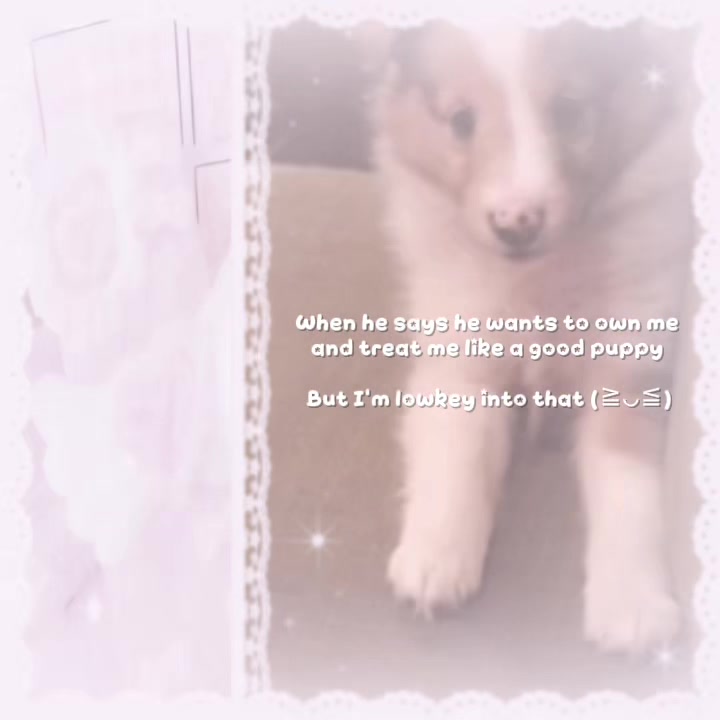 @⋆.𐙚 ̊ ꒰ 𝒫𝓊𝓅𝓅𝓎 ℊ𝒾𝓇𝓁 ꒱