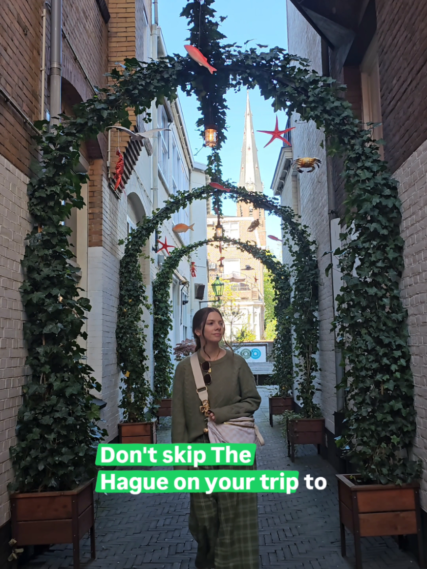 @Michelle | Solo Travel Blogger