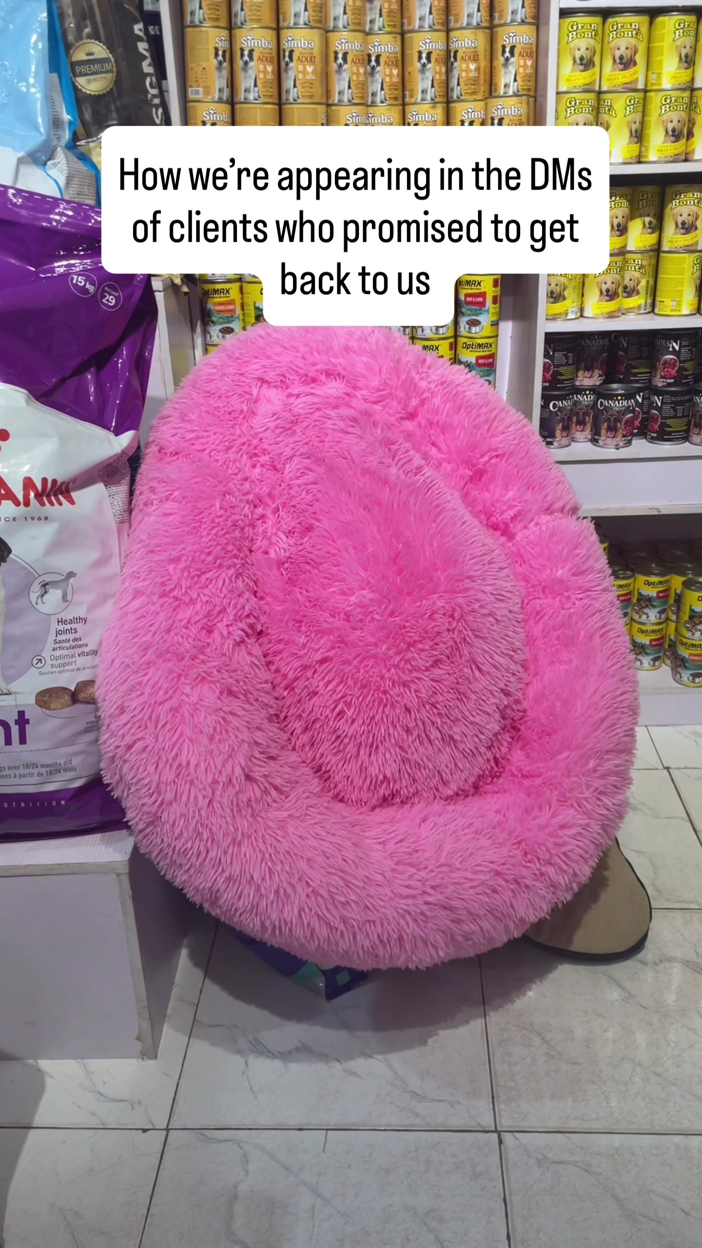 @PET STORE IN IBADAN| PETPLUS