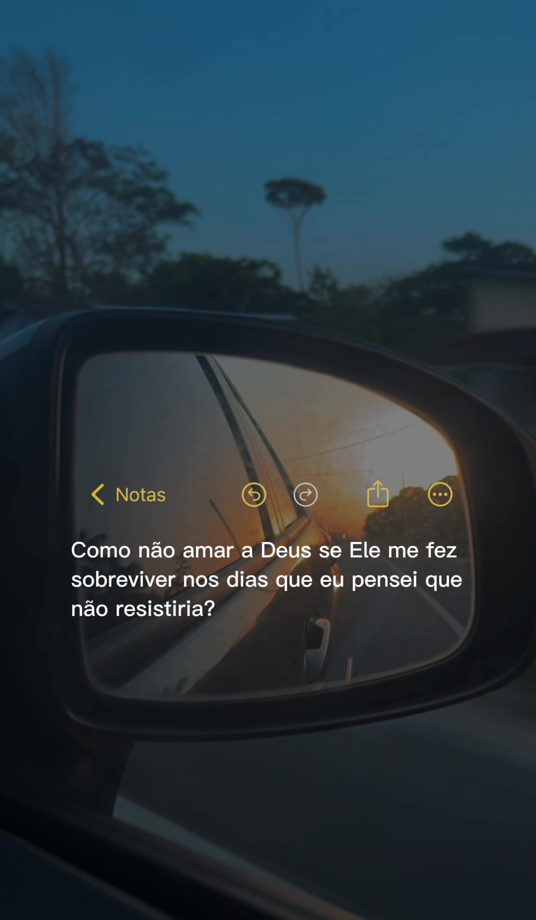@Milly Lopes