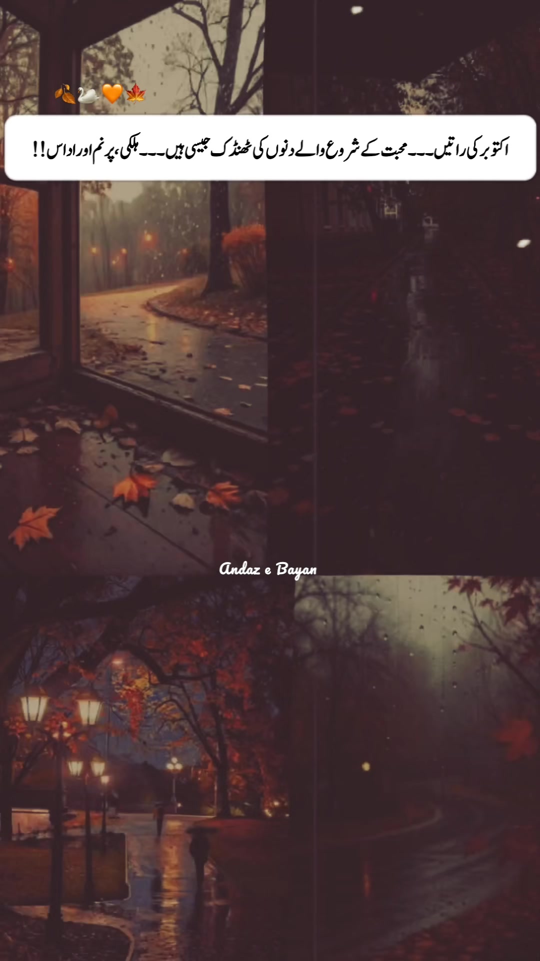 @🦋اندازِبیاں🥀