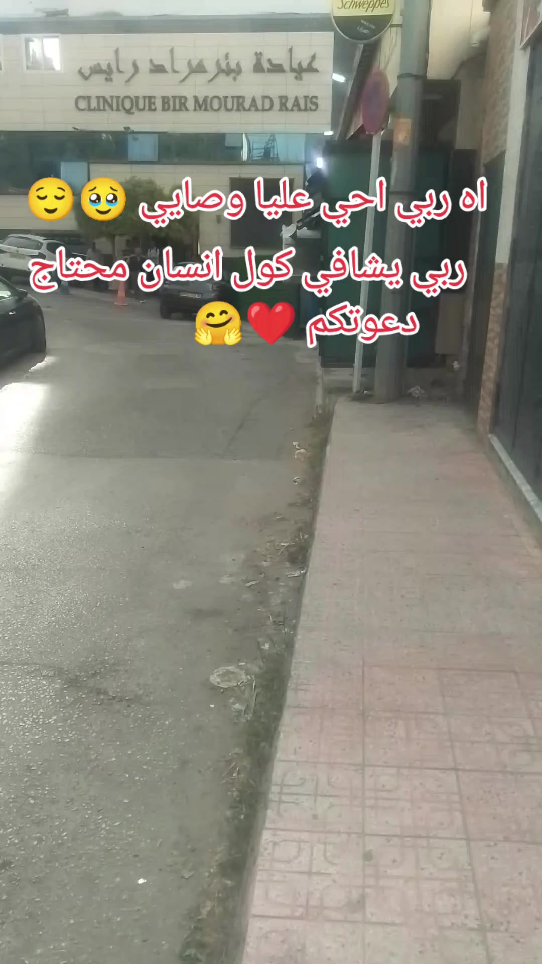 @hamo mohia