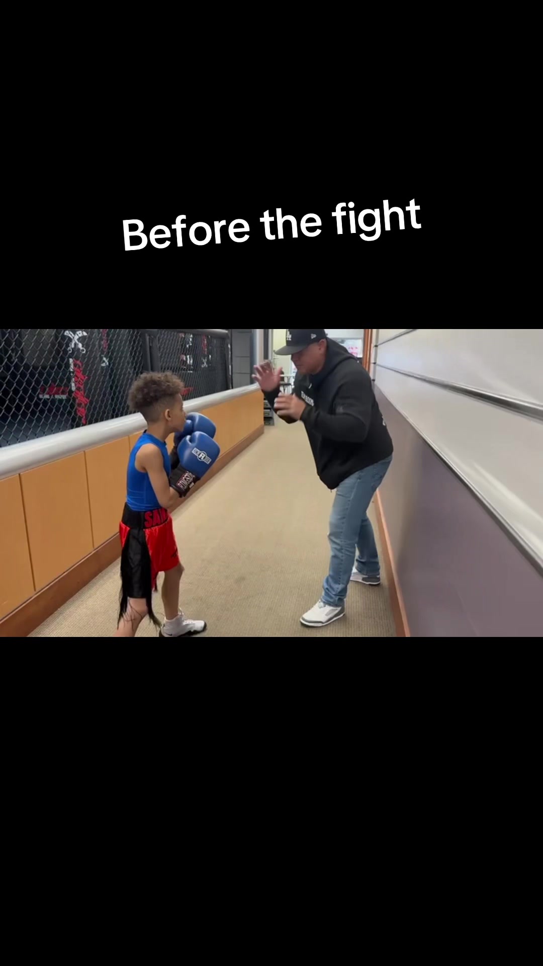 @Boxer fan