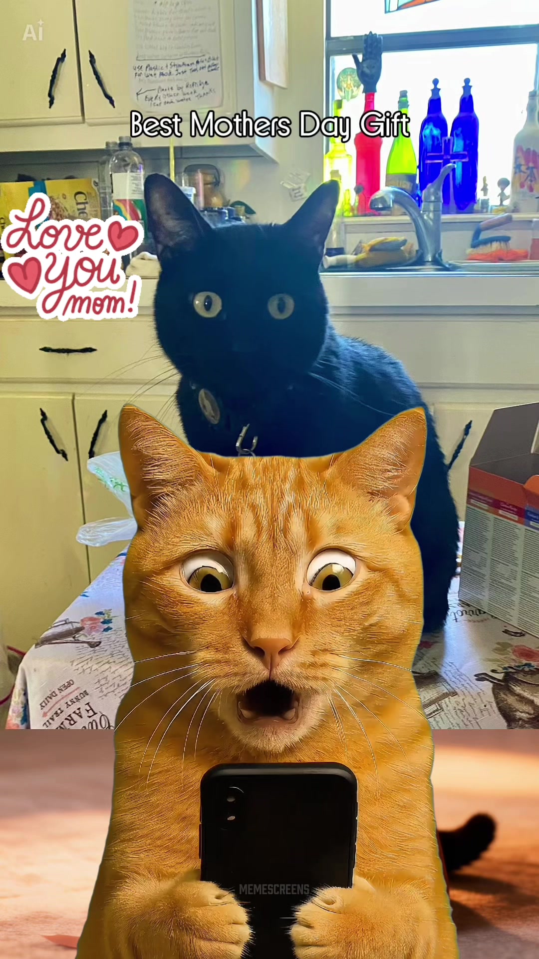 @🐈⬛🐈Shelby🐈