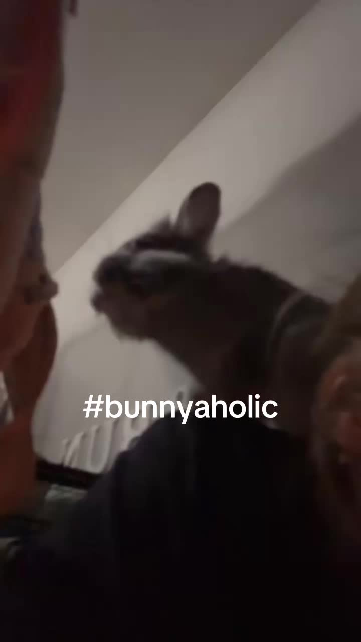 @bunbun & binky
