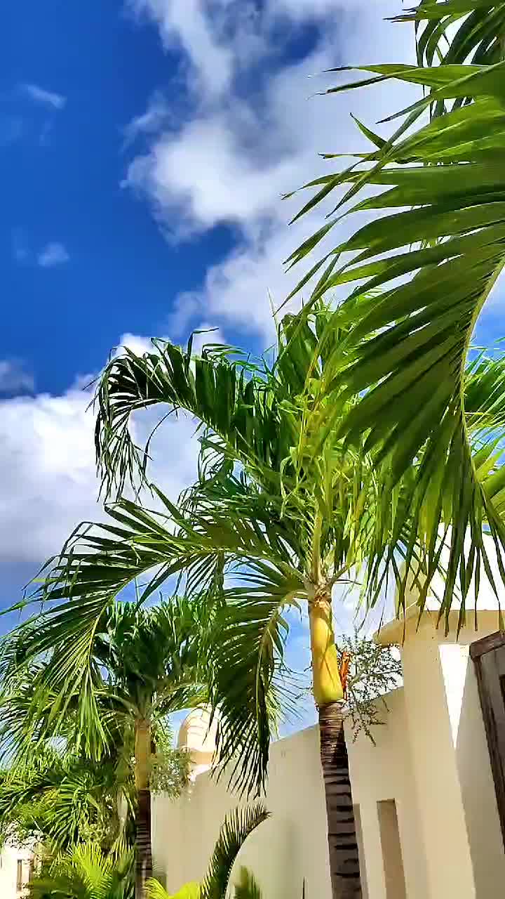 @Eriqcheeks!