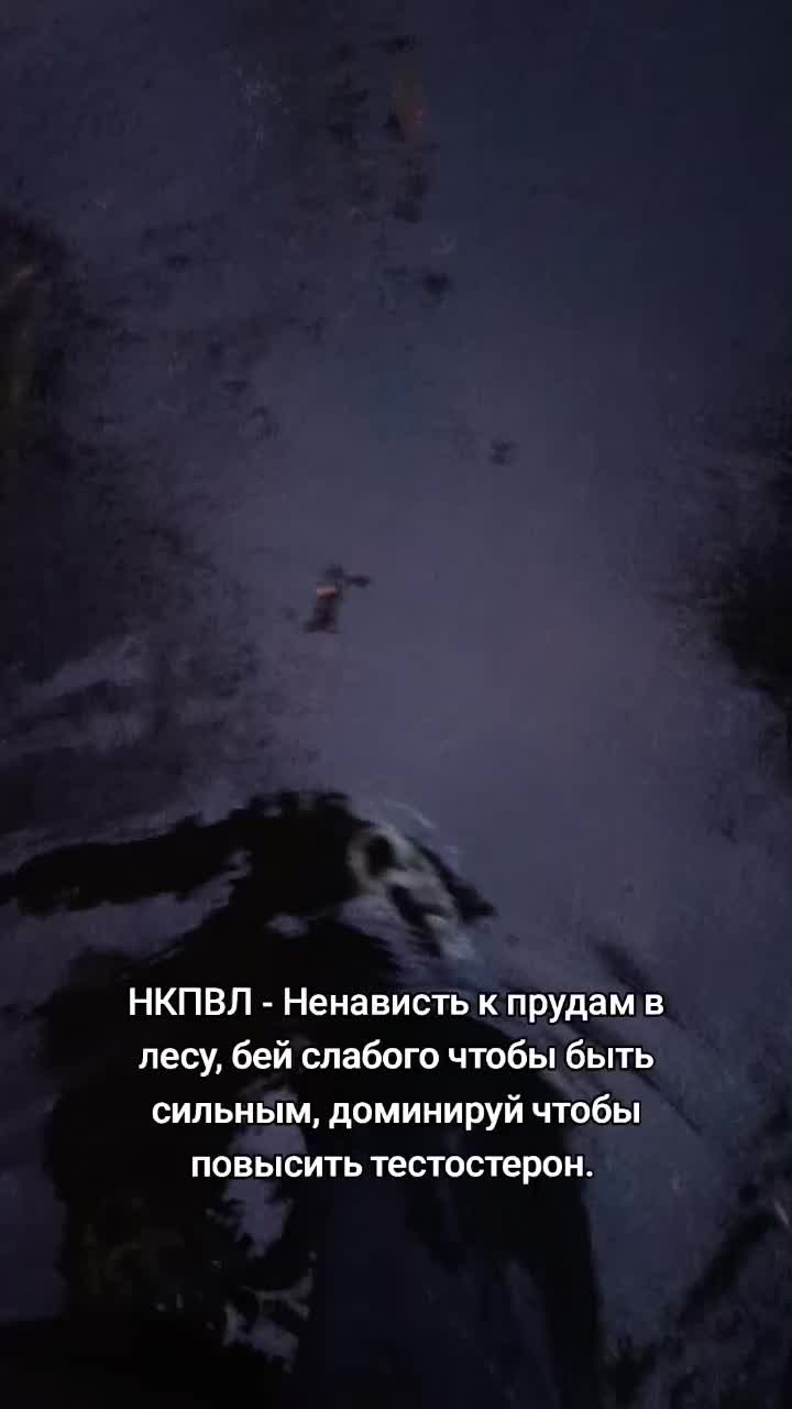 @Лучезарный хрякᛉ