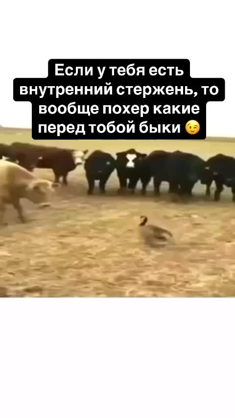 @Лариса