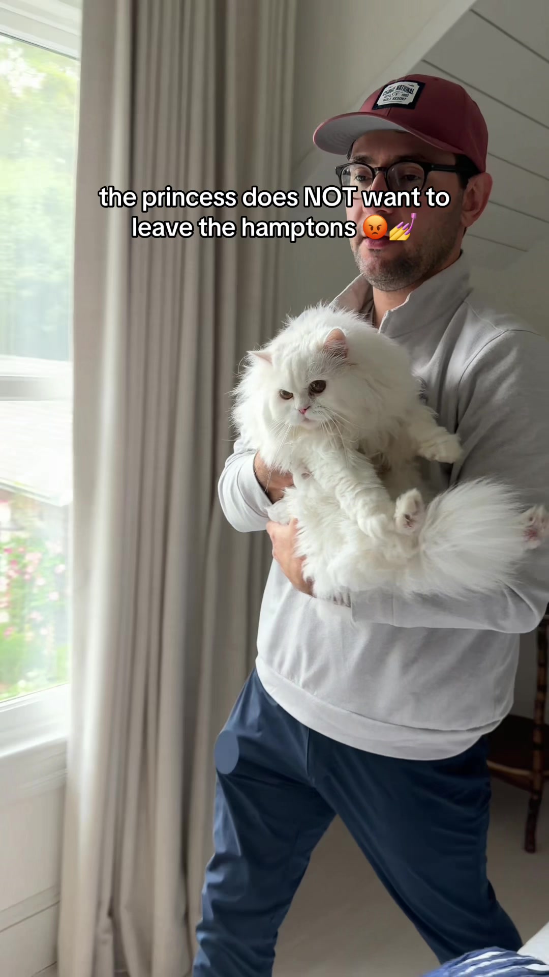 @Cleo the City Kitty