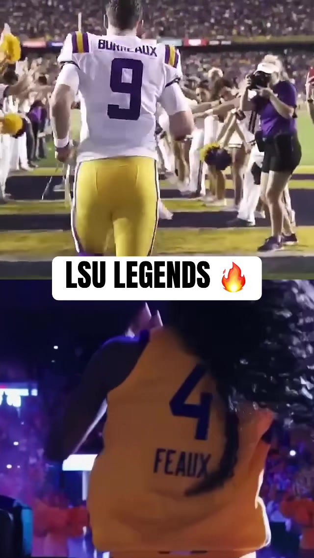 @SECNetwork