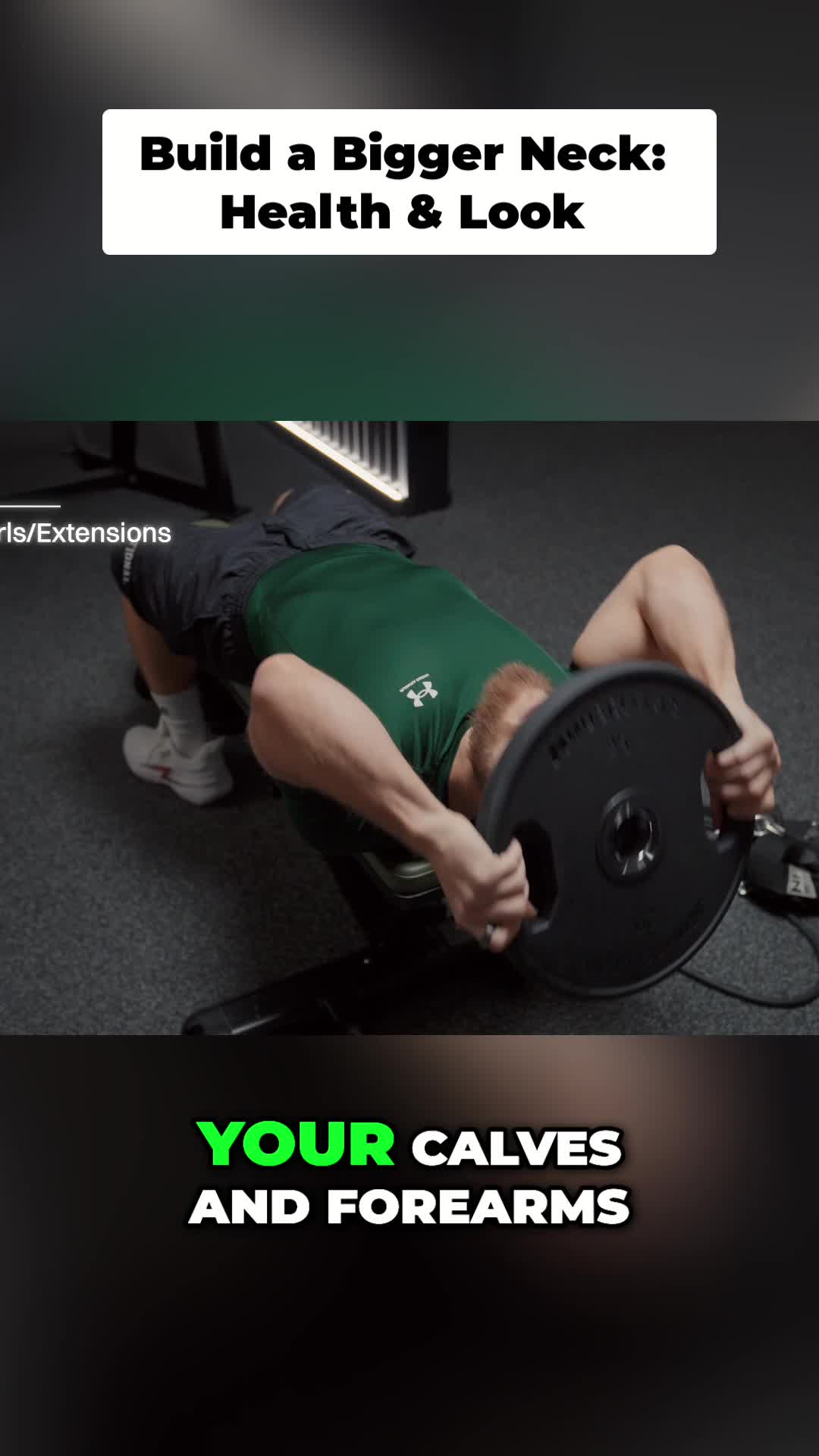 @Daily Lifting